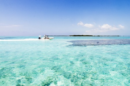 cuba-boat-skimming-over-water Our skiff flying over shallow water in the Jardines