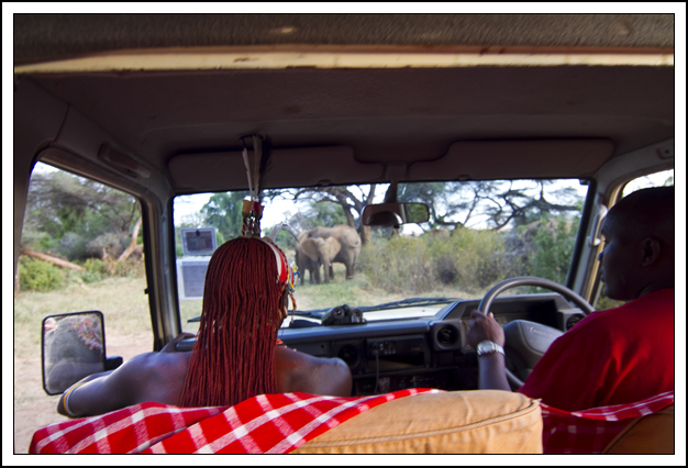 Kenya, guide, truck, elephants