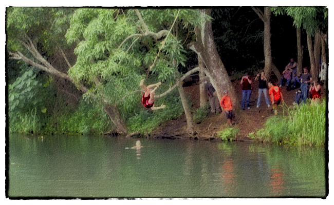 A rope swing on the Huleia River